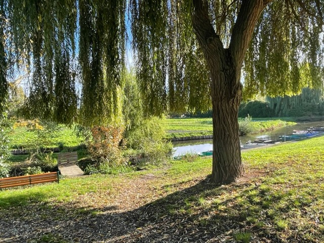 Immo80 – L'immobilier à Amiens et dans la Somme-AMIENS SECTEUR CHAUSSEE JULES FERRY   : BELLE MAISON T5 de 137 m2 sur sous-sol et avec jardin