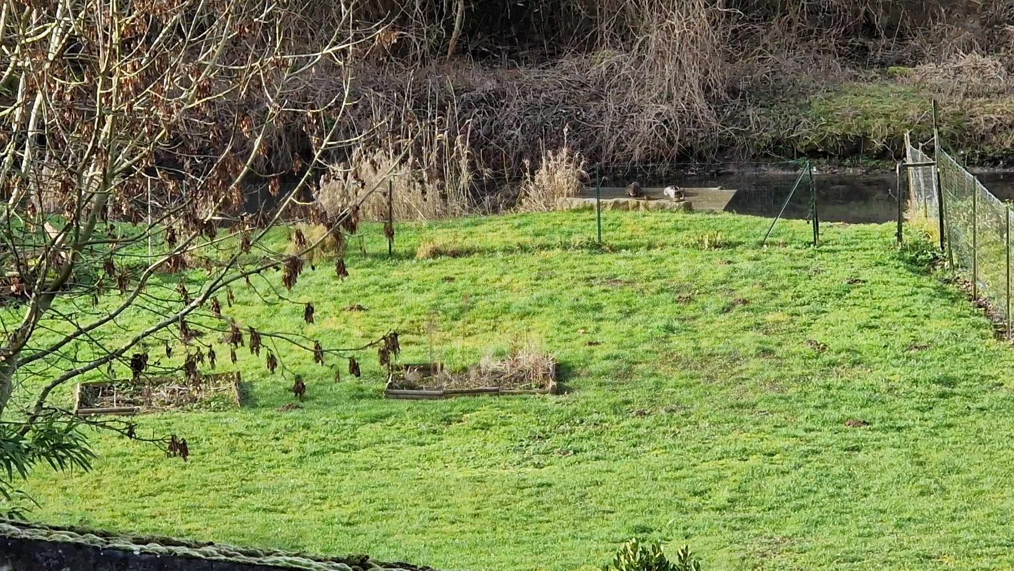 Immo80 – L'immobilier à Amiens et dans la Somme-MAISON LUMINEUSE T3 AVEC JARDIN ET GARAGE